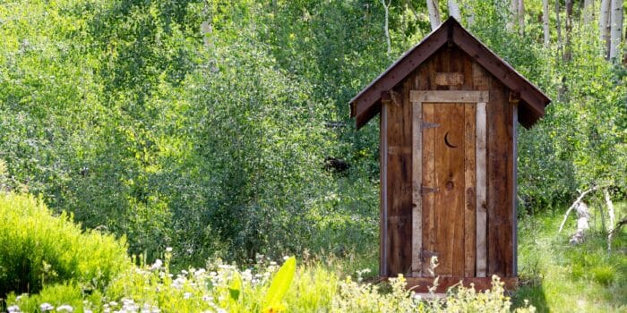 Outhouse In The Woods